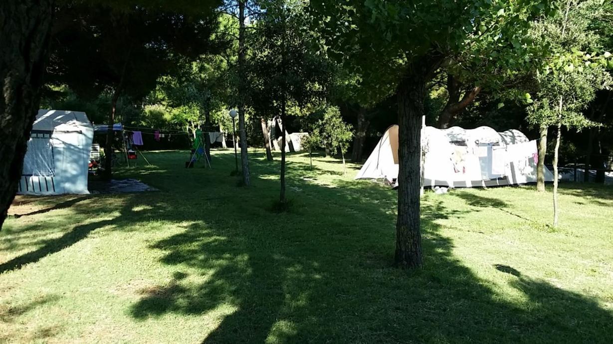 Camping Paradiso Πέζαρο Εξωτερικό φωτογραφία